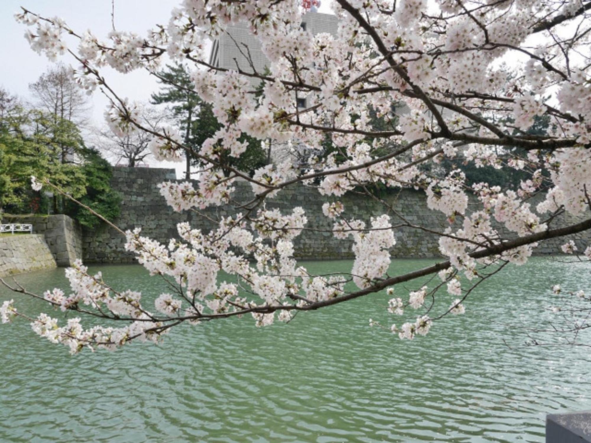 Hotel Fukui Castle - Vacation Stay 58712V Bagian luar foto