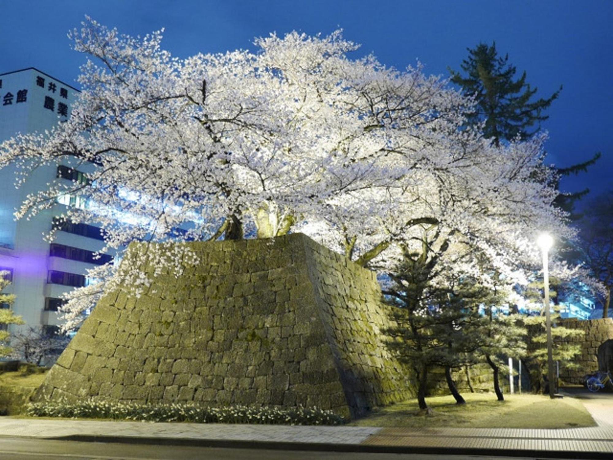 Hotel Fukui Castle - Vacation Stay 58712V Bagian luar foto